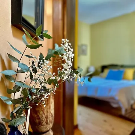 فندق A Vella Escola 4*